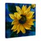 Stupell Industries Sunflower Curling Petals Canvas Wall Art Design by Nan